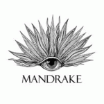 Mandrake